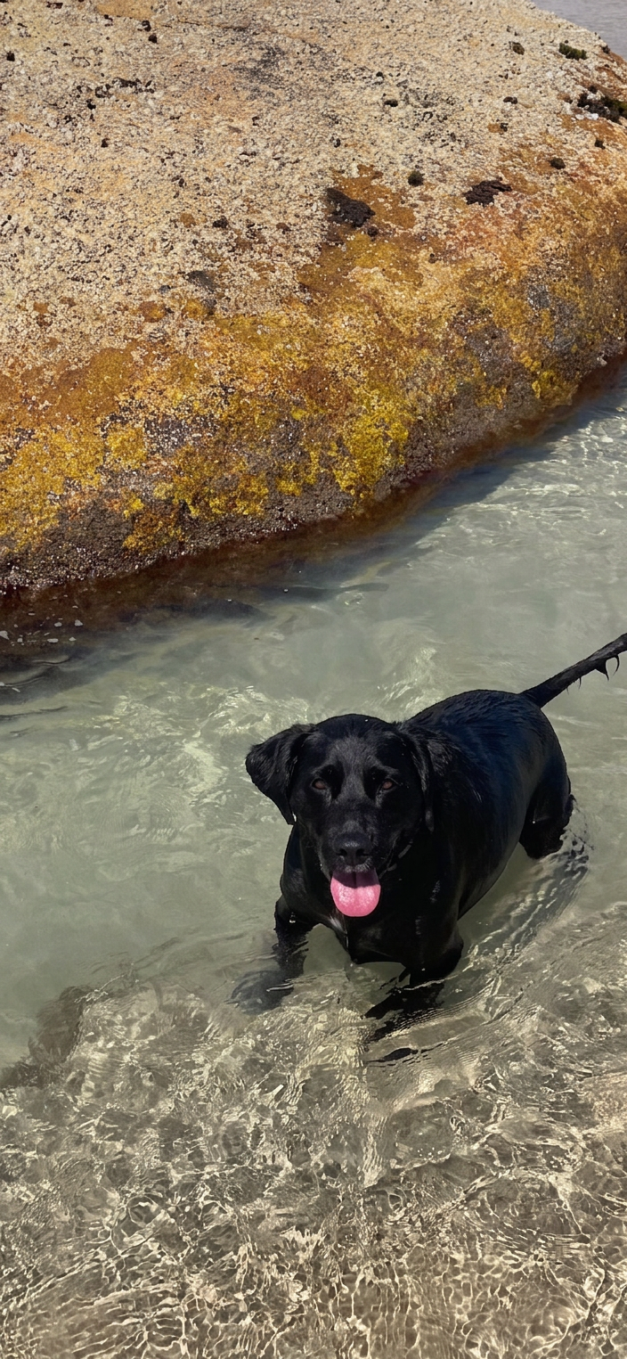 Lucy