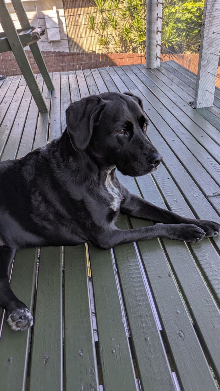 Lucy