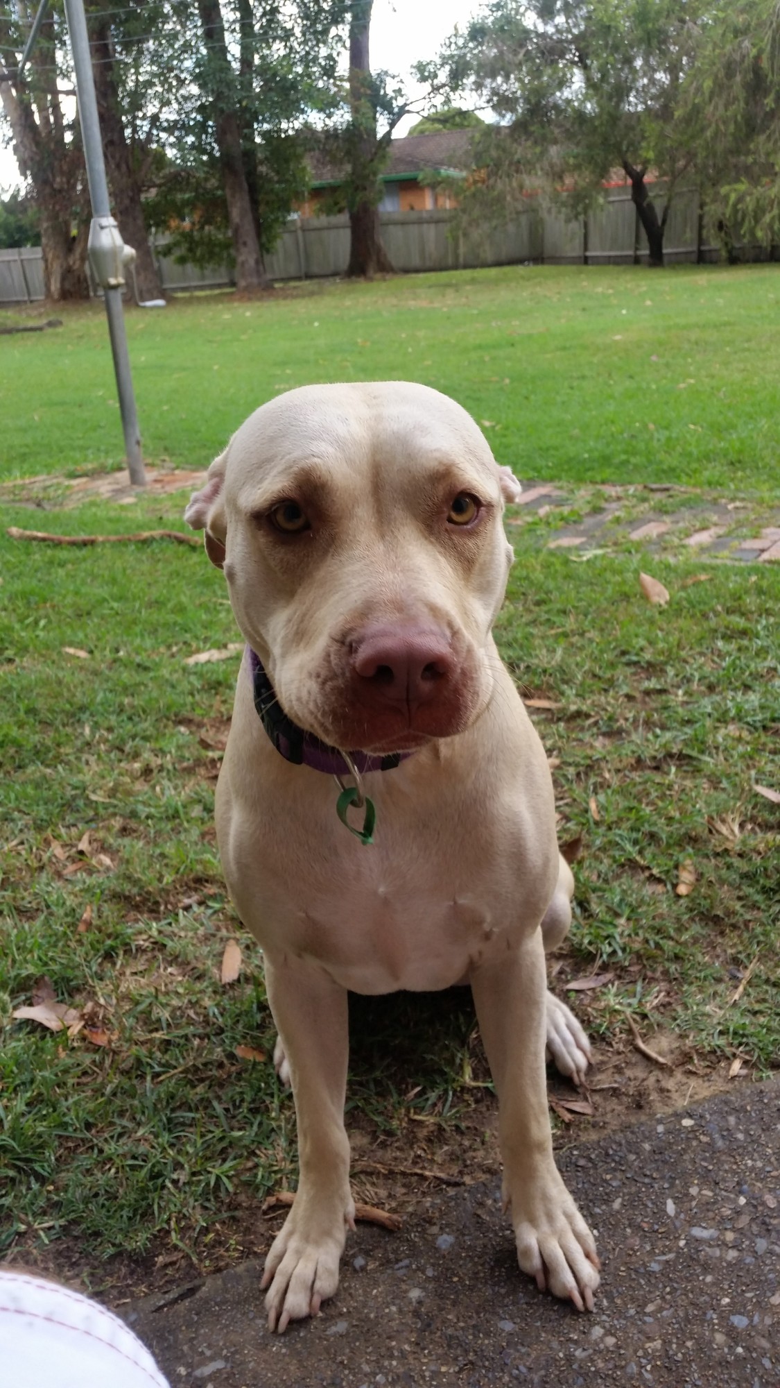 Mia