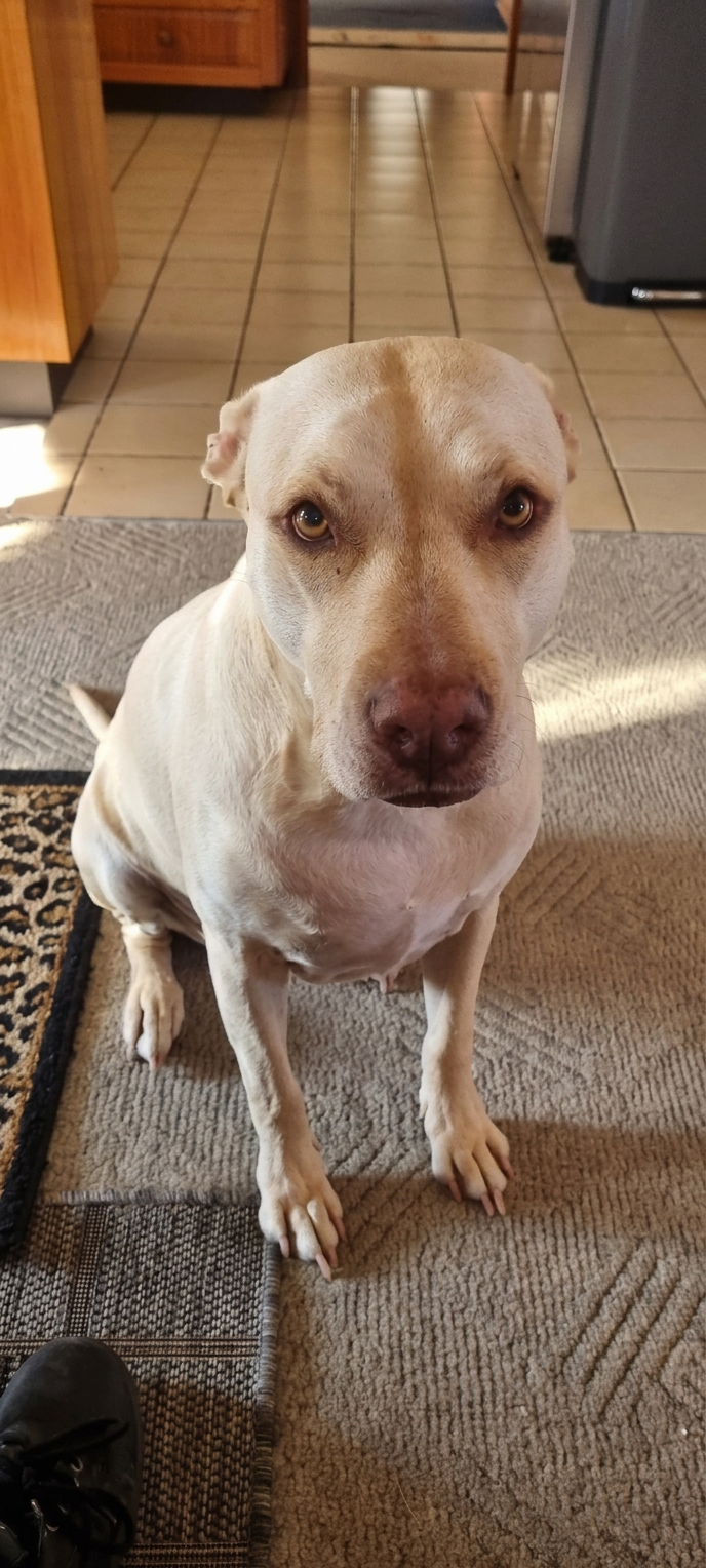 Mia