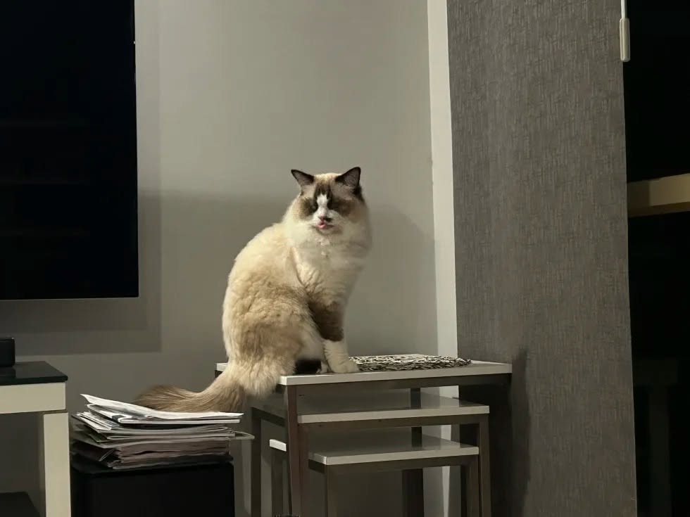 Loki