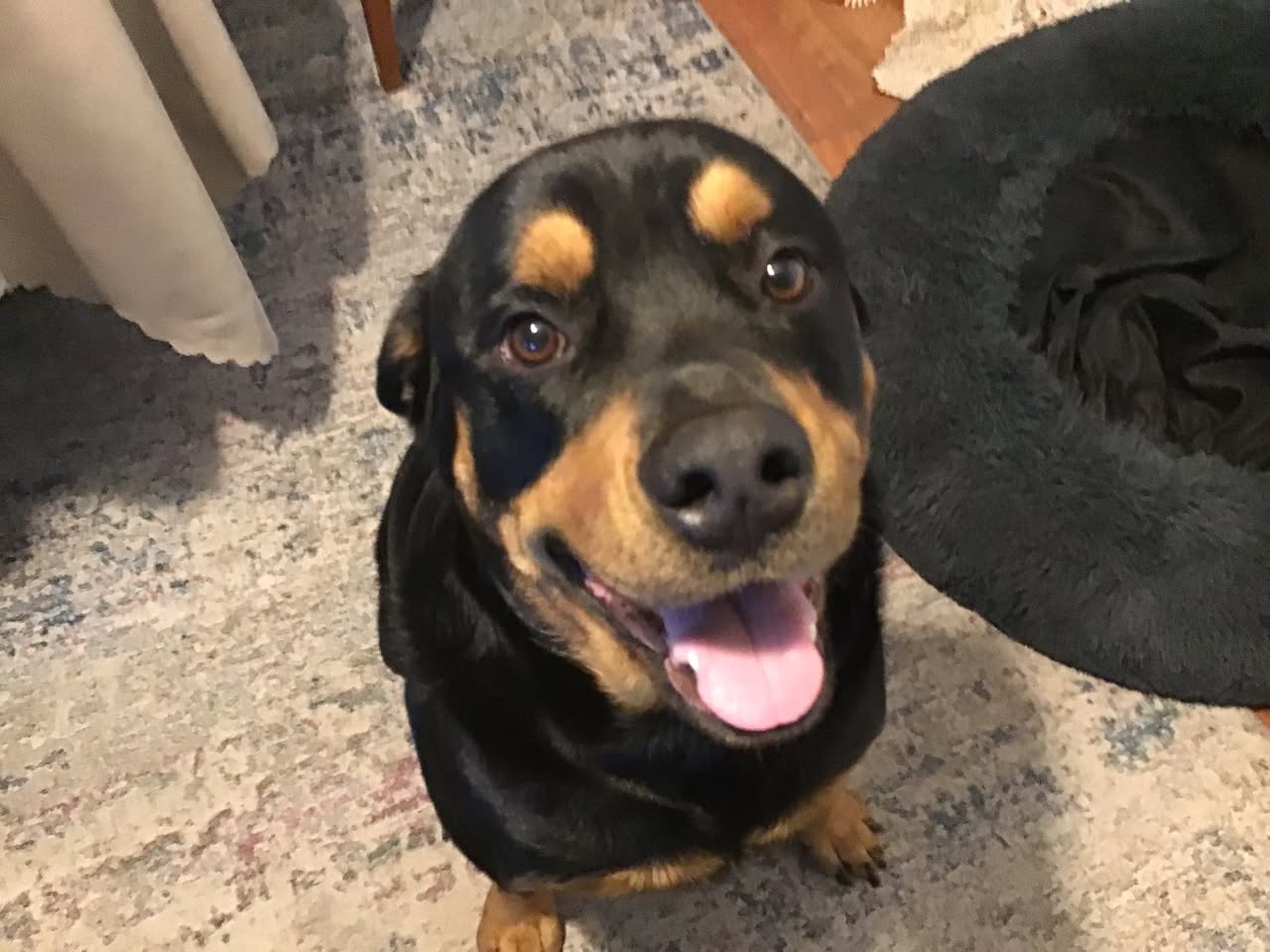 Max