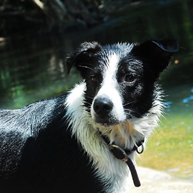 Tilly