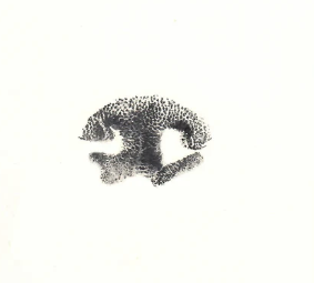 Ink-stamp nose print on archival card