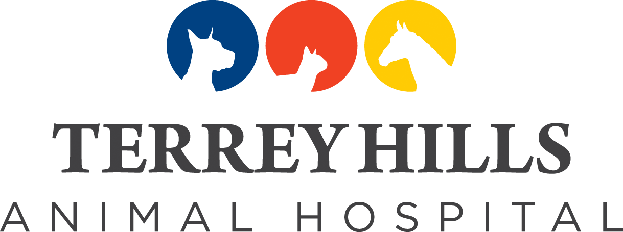 Terrey Hills Animal Hospital