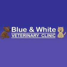 Blue & White Veterinary Clinic