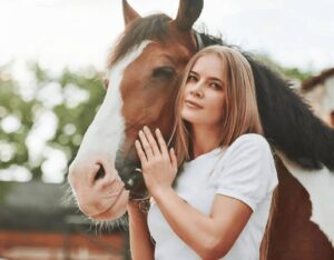 Sydney Horse Cremations